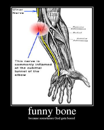 funny bone